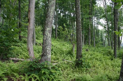 Property in Highland County, Virginia