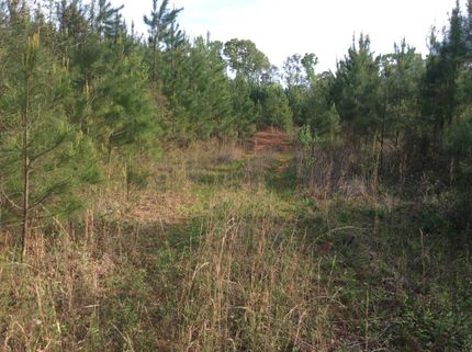 Property in Crenshaw County, Alabama