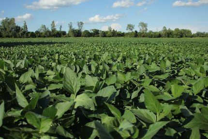 Property in Lafayette County, Missouri