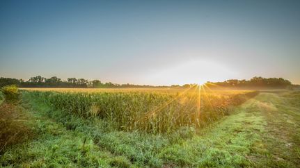 Property in Johnson County, Missouri