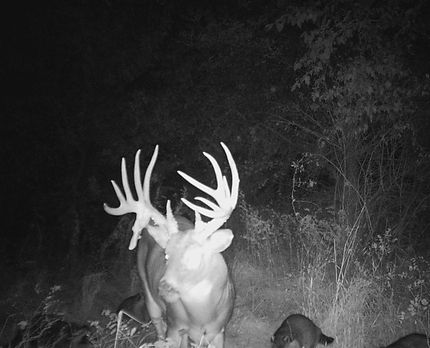 Property in Allen County, Kansas