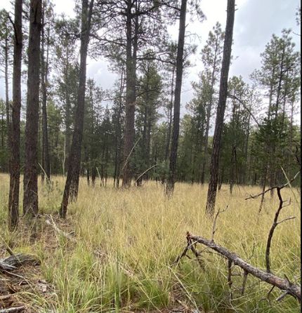 Property in Otero County, New Mexico