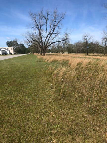 Undeveloped Land for sale in Evans County, Georgia