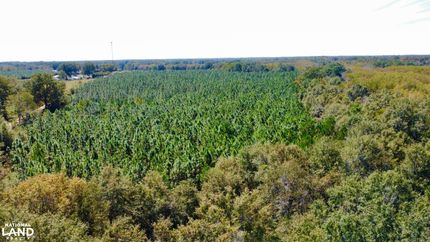 Property in Geneva County, Alabama