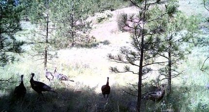 Property in Lincoln County, Washington