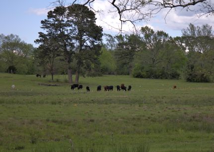 Property for sale in Nacogdoches County, Texas