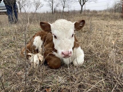 Property in Garvin County, Oklahoma