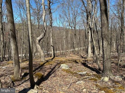 Property in Hampshire County, West Virginia