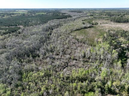 Property in Scotland County, North Carolina