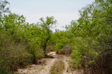 Property in Brooks County, Texas