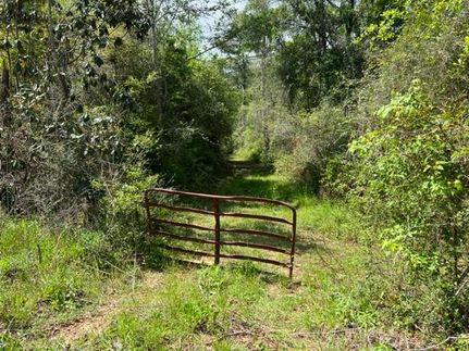 Property in Geneva County, Alabama