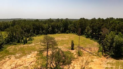 Property in Drew County, Arkansas