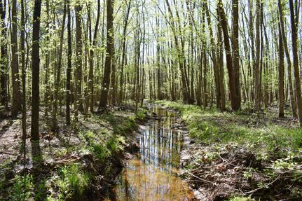 Property in Weakley County, Tennessee