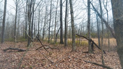 Property in Gallia County, Ohio