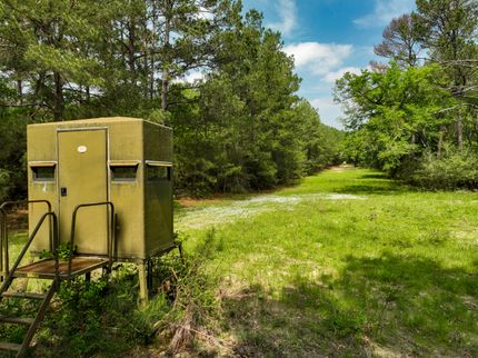 Property in Grimes County, Texas