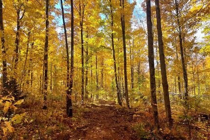 Property in Langlade County, Wisconsin