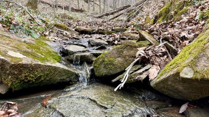 Property in Washington County, Ohio