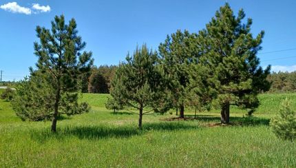 Property in Otsego County, Michigan