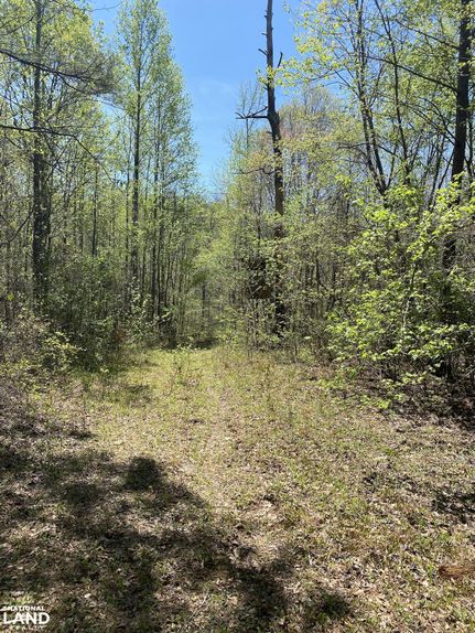 Property in Cullman County, Alabama