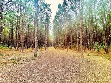 Property in Macon County, Georgia