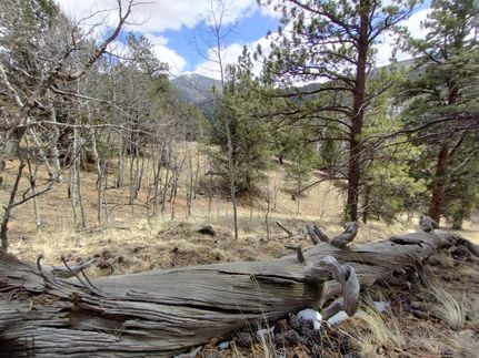 Property in Teller County, Colorado