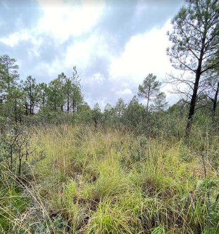 Property in Otero County, New Mexico