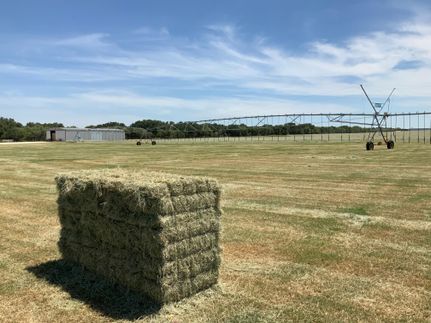 Property in Frio County, Texas