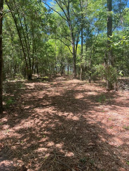 Property in Aiken County, South Carolina