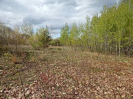 Property in Jackson County, Michigan