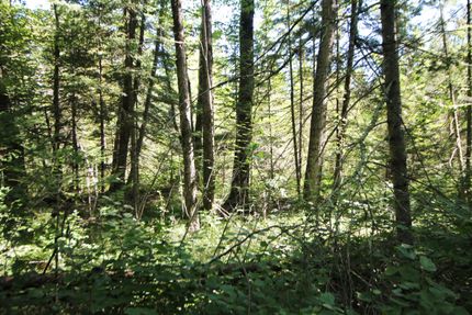 Property in Price County, Wisconsin