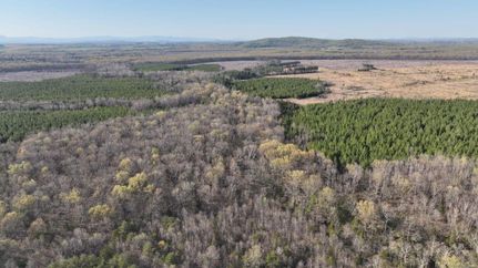 Property in Culpeper County, Virginia