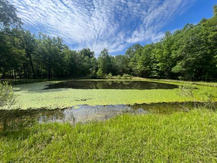 Property in Red River County, Texas