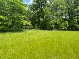 Ranch Property for sale in Freestone County, Texas