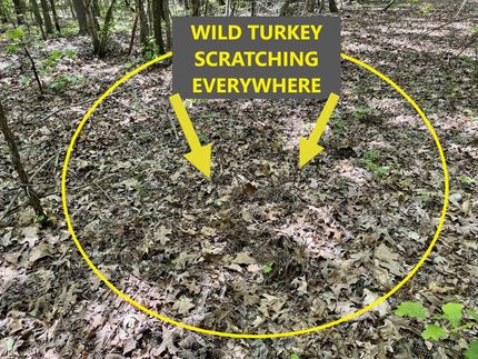 Property for sale in Benton County, Tennessee