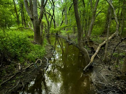 Property in Travis County, Texas