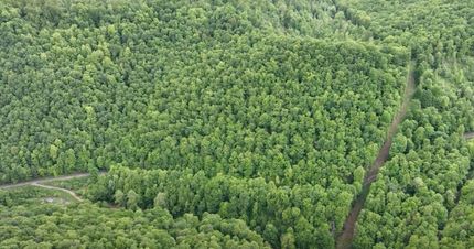 Property in Nicholas County, West Virginia