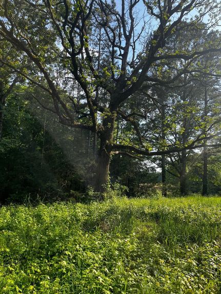 Property in Franklin County, Georgia