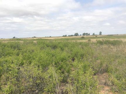 Property in Donley County, Texas