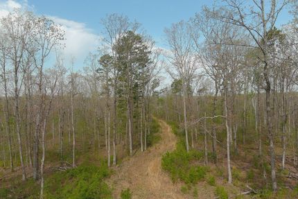 Property in Wayne County, Missouri