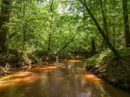 Property in Cass County, Texas