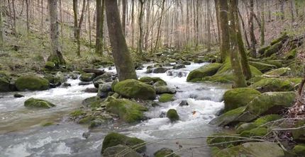 Property in Morgan County, Alabama