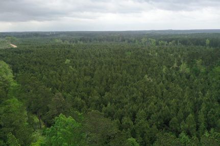 Property for sale in San Augustine County, Texas