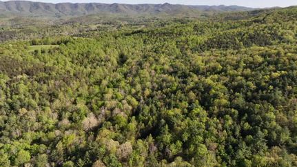 Property in Patrick County, Virginia