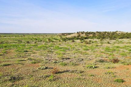 Recreational Property for sale in Mitchell County, Texas