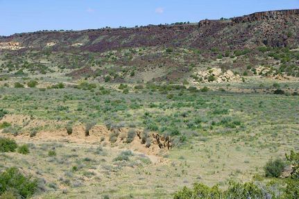 Hunting Land for sale in Apache County, Arizona
