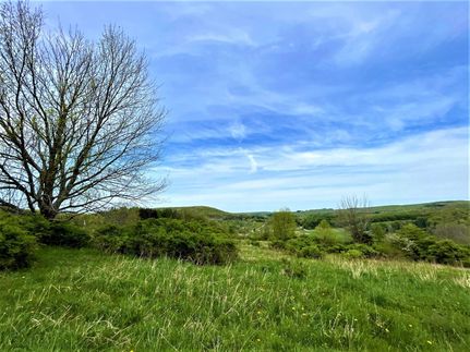 Property in Cattaraugus County, New York