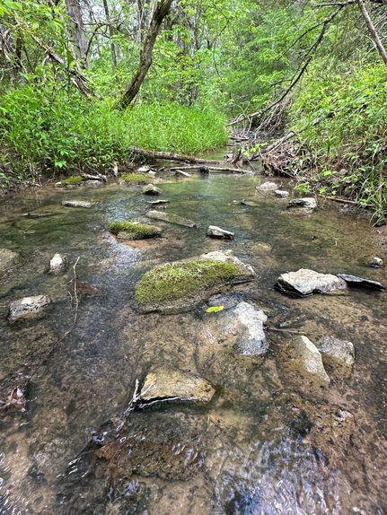 Property in Hawkins County, Tennessee