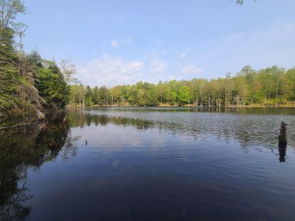 Property in Lewis County, New York