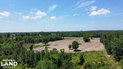 Property in Houston County, Alabama