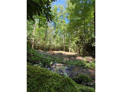 Property in Madison County, North Carolina